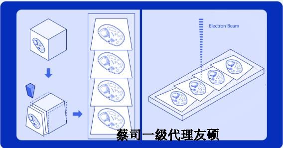 咸宁蔡司咸宁扫描电镜